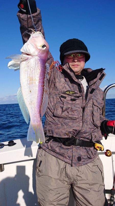 ARCADIAⅡ (アルカディアⅡ) 釣果