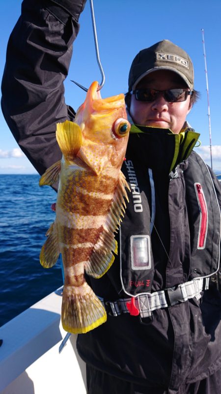 ARCADIAⅡ (アルカディアⅡ) 釣果