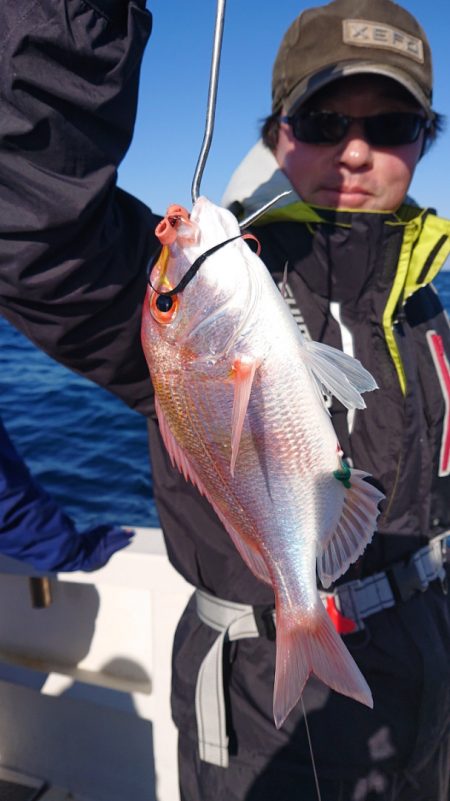 ARCADIAⅡ (アルカディアⅡ) 釣果