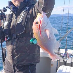 ARCADIAⅡ (アルカディアⅡ) 釣果