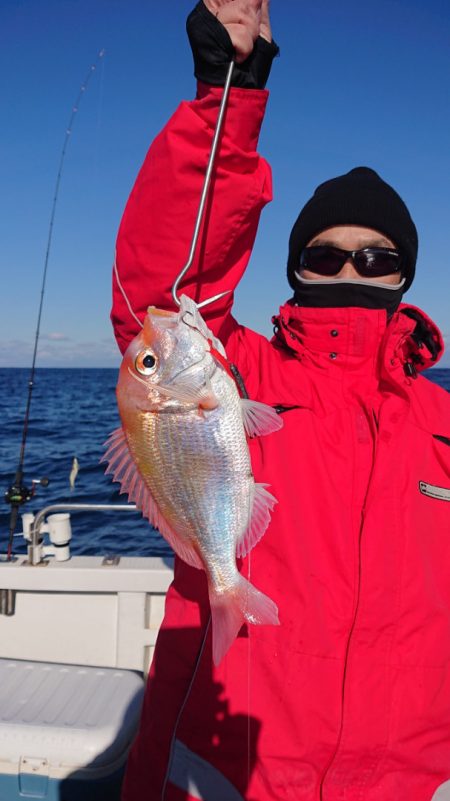 ARCADIAⅡ (アルカディアⅡ) 釣果