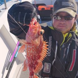 ARCADIAⅡ (アルカディアⅡ) 釣果