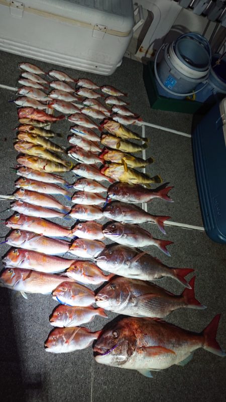 ARCADIAⅡ (アルカディアⅡ) 釣果