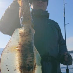 シースナイパー海龍 釣果