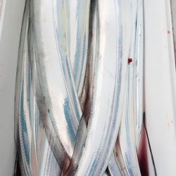 金沢八景鴨下丸 釣果