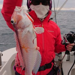 ARCADIAⅡ (アルカディアⅡ) 釣果