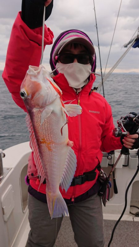 ARCADIAⅡ (アルカディアⅡ) 釣果