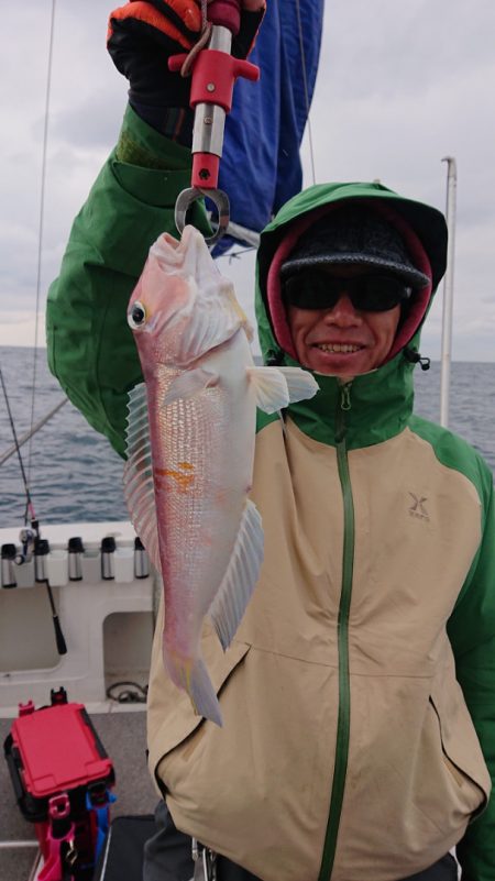 ARCADIAⅡ (アルカディアⅡ) 釣果