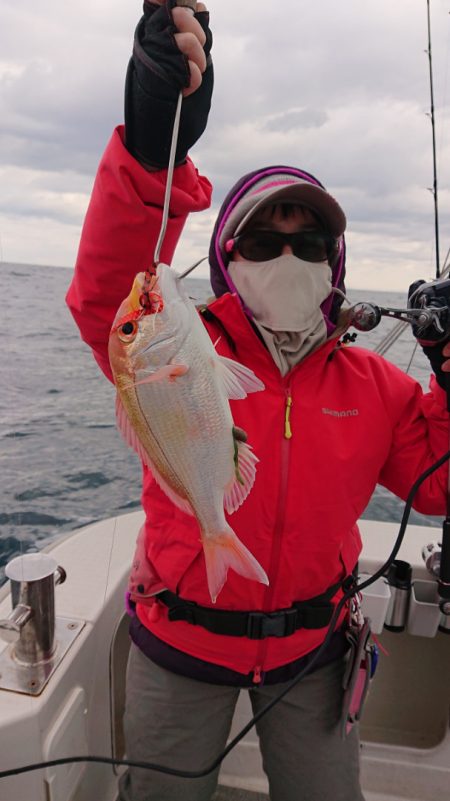 ARCADIAⅡ (アルカディアⅡ) 釣果