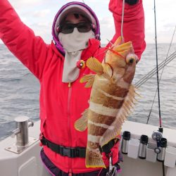 ARCADIAⅡ (アルカディアⅡ) 釣果