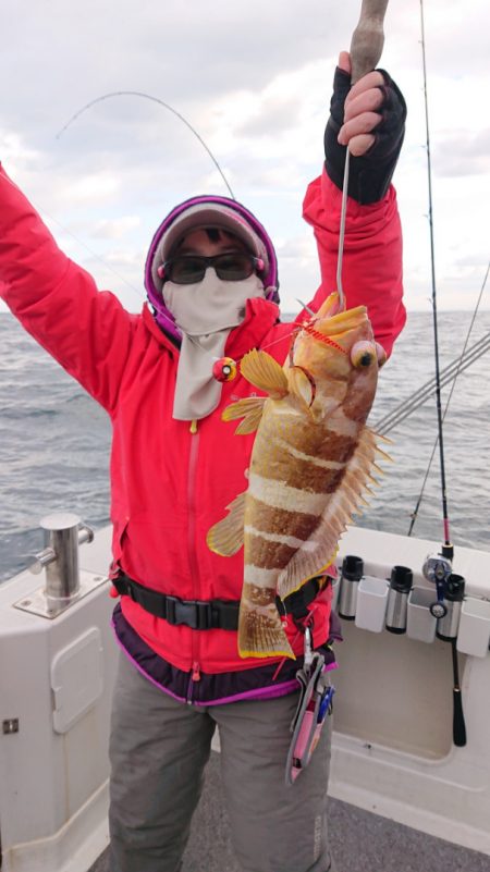 ARCADIAⅡ (アルカディアⅡ) 釣果