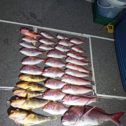 ARCADIAⅡ (アルカディアⅡ) 釣果