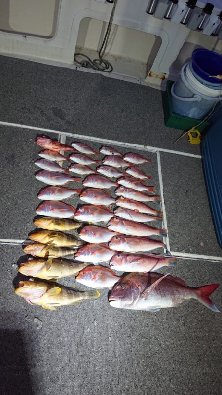 ARCADIAⅡ (アルカディアⅡ) 釣果