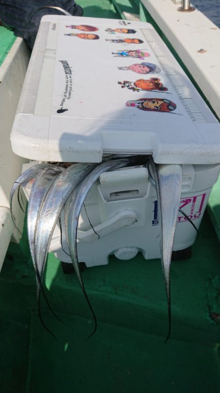 金沢八景鴨下丸 釣果