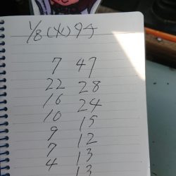 金沢八景鴨下丸 釣果