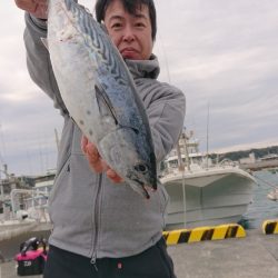 だて丸 釣果