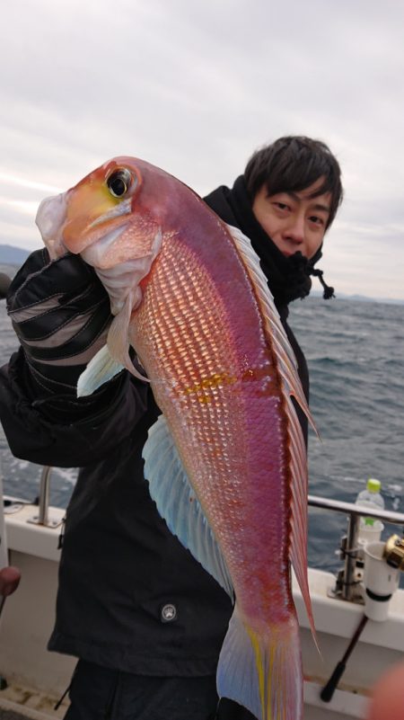 ARCADIAⅡ （アルカディアⅡ） 釣果…