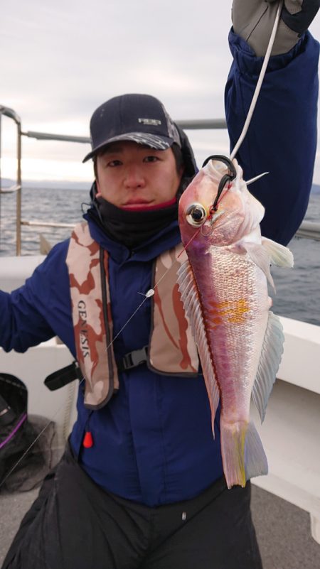 ARCADIAⅡ (アルカディアⅡ) 釣果