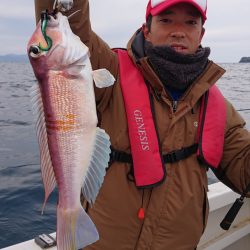 ARCADIAⅡ (アルカディアⅡ) 釣果