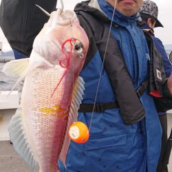 ARCADIAⅡ (アルカディアⅡ) 釣果