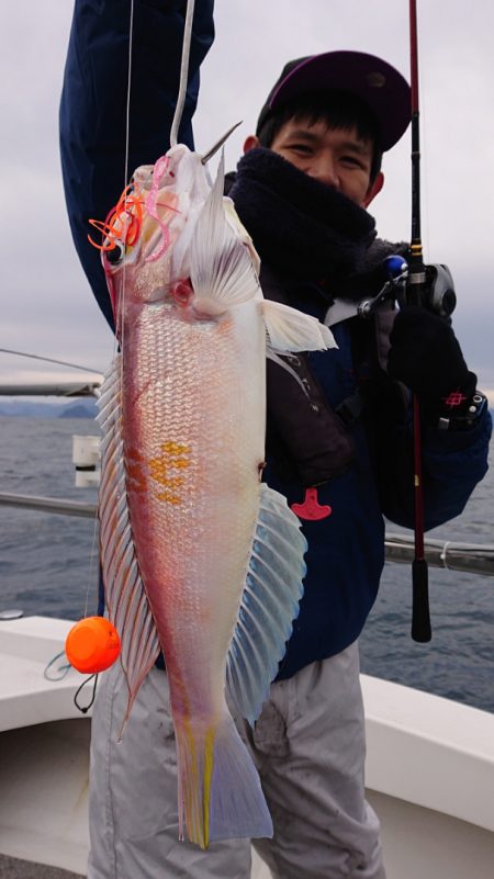 ARCADIAⅡ (アルカディアⅡ) 釣果