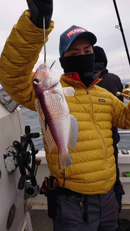 ARCADIAⅡ (アルカディアⅡ) 釣果