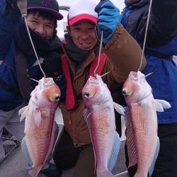 ARCADIAⅡ (アルカディアⅡ) 釣果