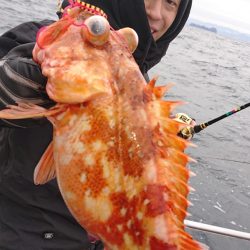 ARCADIAⅡ (アルカディアⅡ) 釣果