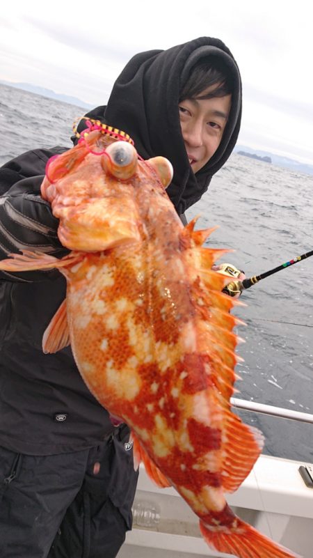 ARCADIAⅡ (アルカディアⅡ) 釣果