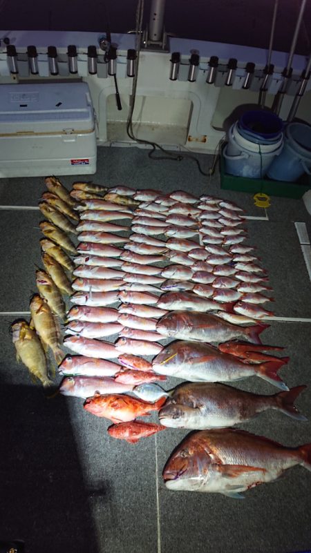 ARCADIAⅡ (アルカディアⅡ) 釣果