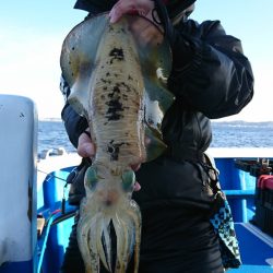 第三共栄丸 釣果