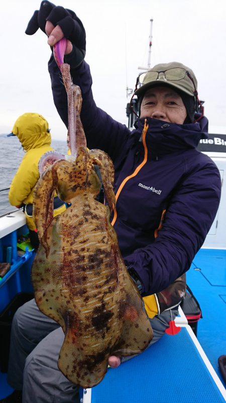 第三共栄丸 釣果