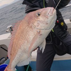 ARCADIAⅡ （アルカディアⅡ） 釣果