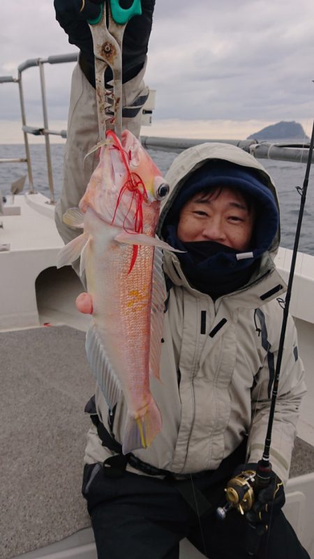 ARCADIAⅡ （アルカディアⅡ） 釣果