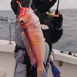 ARCADIAⅡ （アルカディアⅡ） 釣果