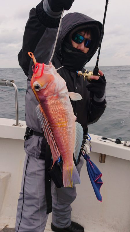 ARCADIAⅡ （アルカディアⅡ） 釣果