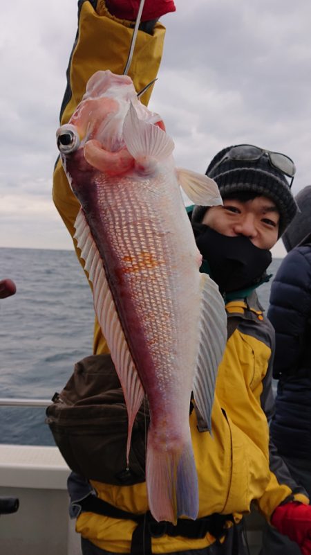 ARCADIAⅡ （アルカディアⅡ） 釣果