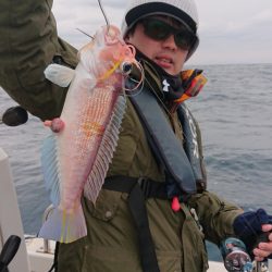 ARCADIAⅡ （アルカディアⅡ） 釣果