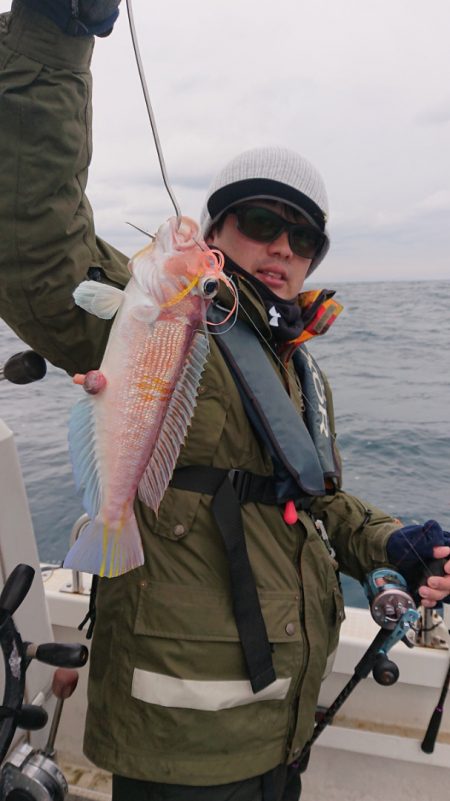 ARCADIAⅡ （アルカディアⅡ） 釣果