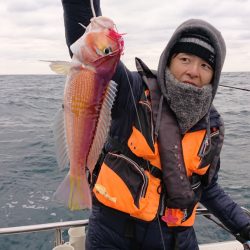 ARCADIAⅡ （アルカディアⅡ） 釣果