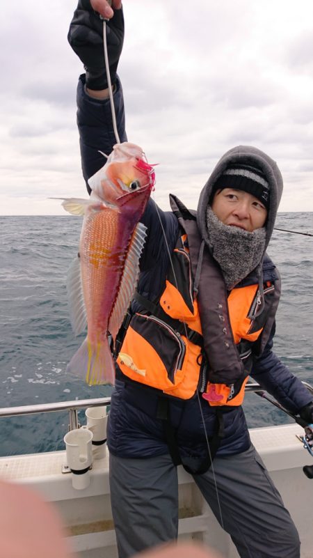 ARCADIAⅡ （アルカディアⅡ） 釣果