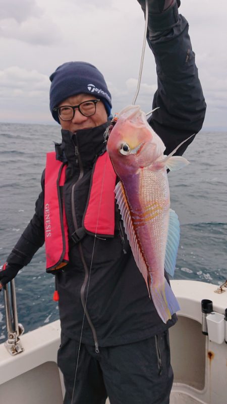 ARCADIAⅡ （アルカディアⅡ） 釣果