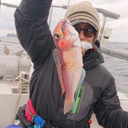 ARCADIAⅡ （アルカディアⅡ） 釣果