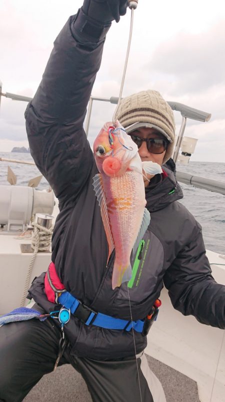 ARCADIAⅡ （アルカディアⅡ） 釣果