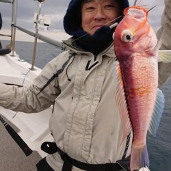 ARCADIAⅡ （アルカディアⅡ） 釣果