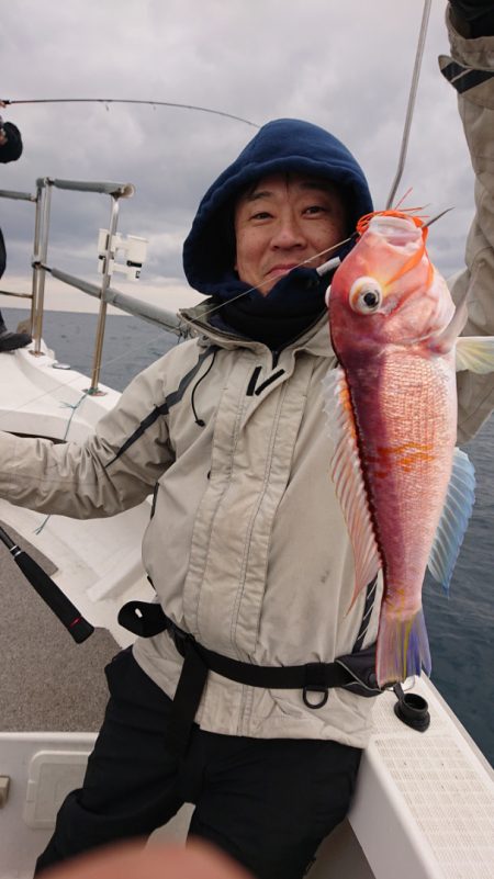 ARCADIAⅡ （アルカディアⅡ） 釣果