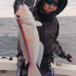 ARCADIAⅡ （アルカディアⅡ） 釣果