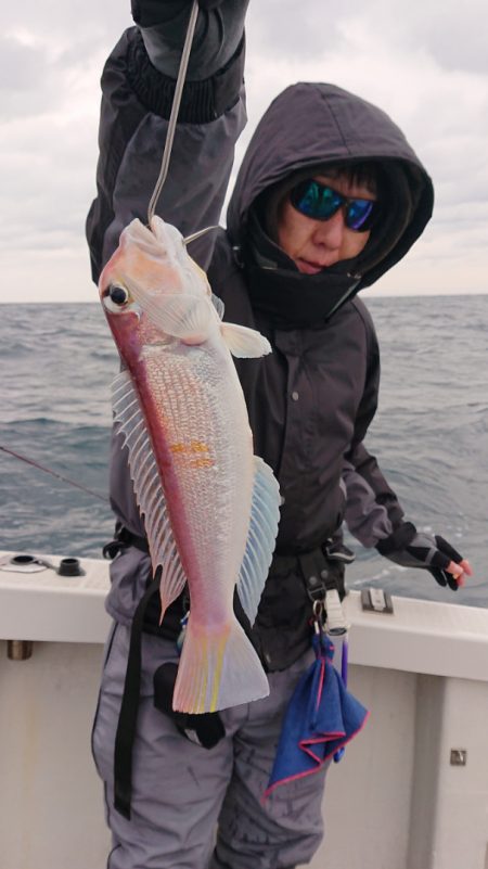 ARCADIAⅡ （アルカディアⅡ） 釣果