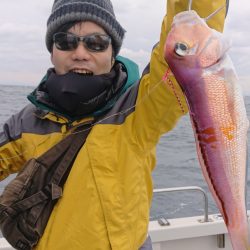 ARCADIAⅡ （アルカディアⅡ） 釣果