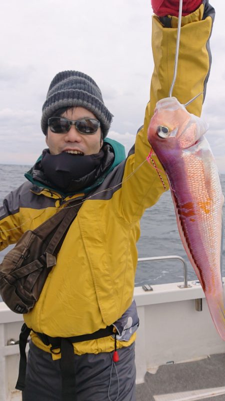 ARCADIAⅡ （アルカディアⅡ） 釣果